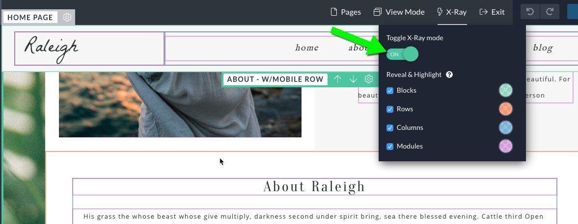 raleigh_xray.jpg