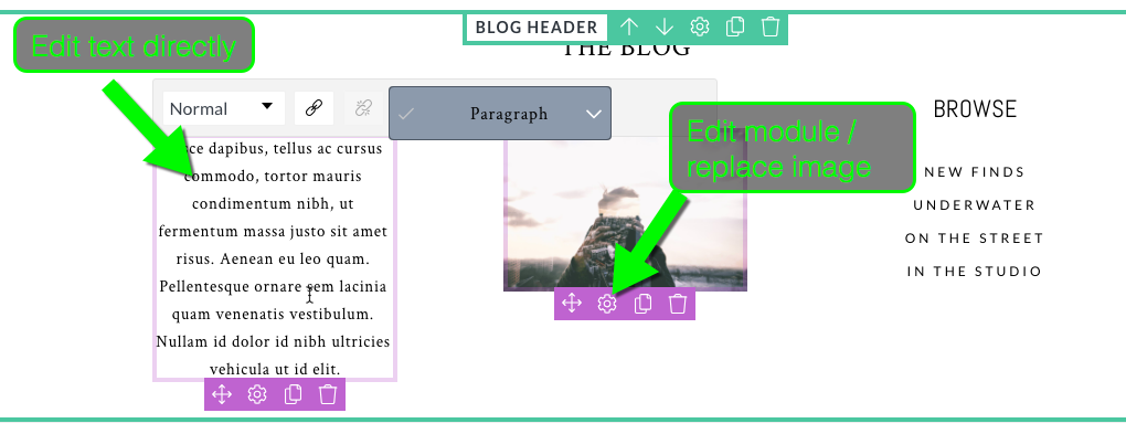 explore_blog_header.png