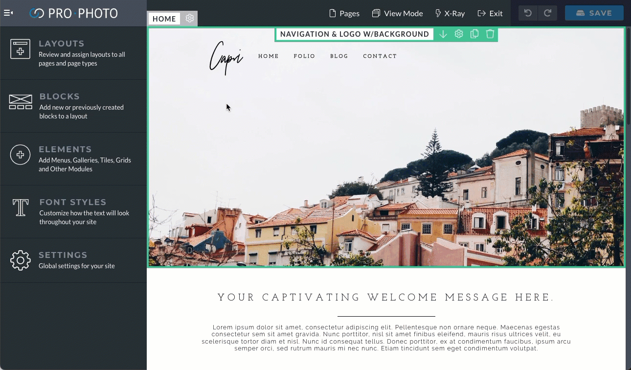 capri logo.gif