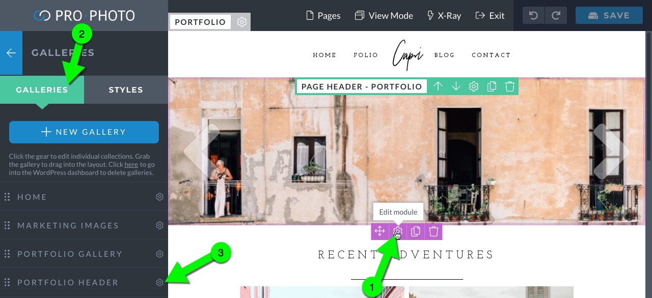 capri_portfolio_header.jpg