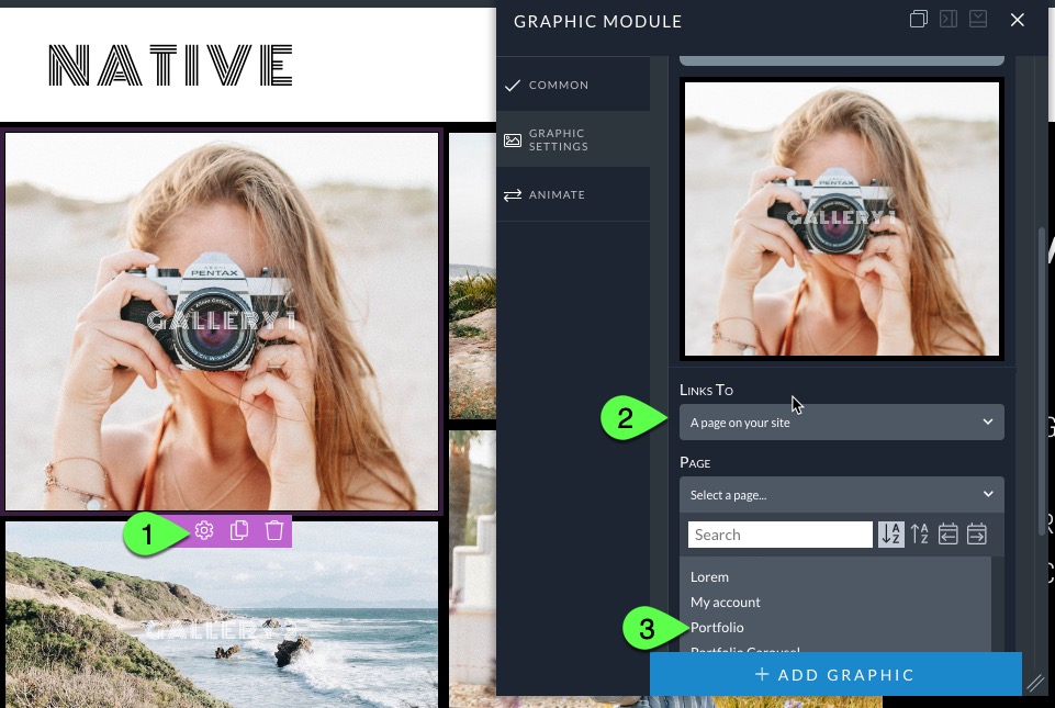 Native graphic module link.jpg