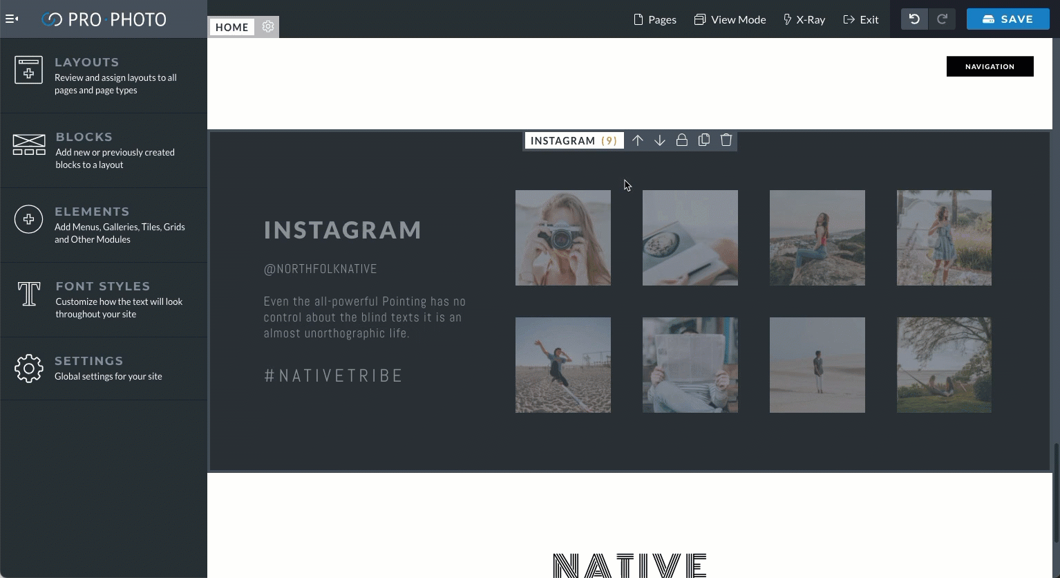 Native IG grid.gif