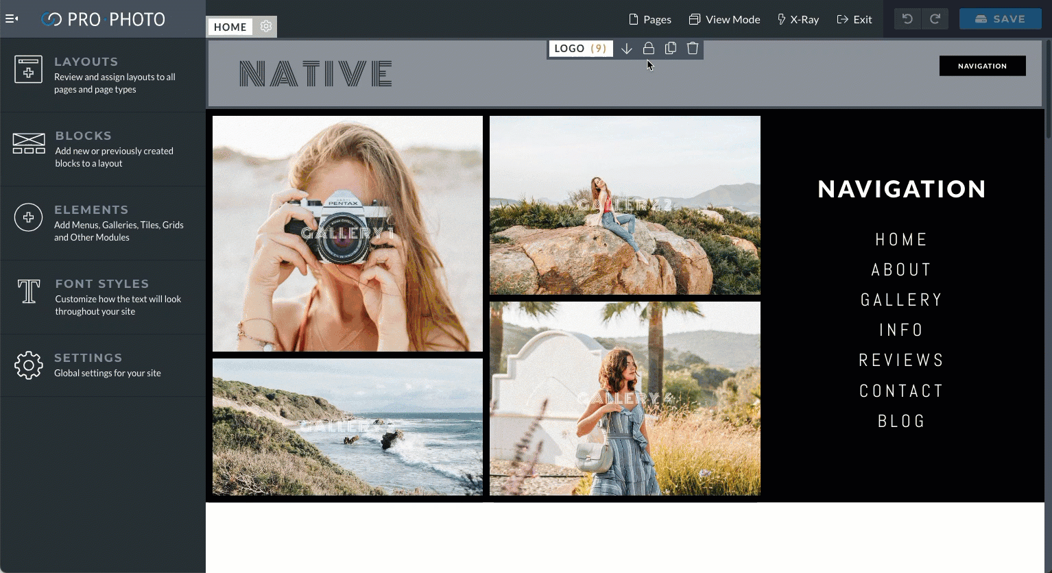 Native Logo.gif