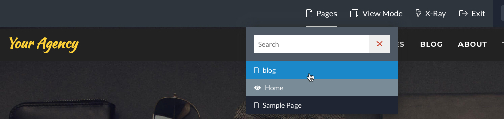 agency_pages_dropdown.jpg