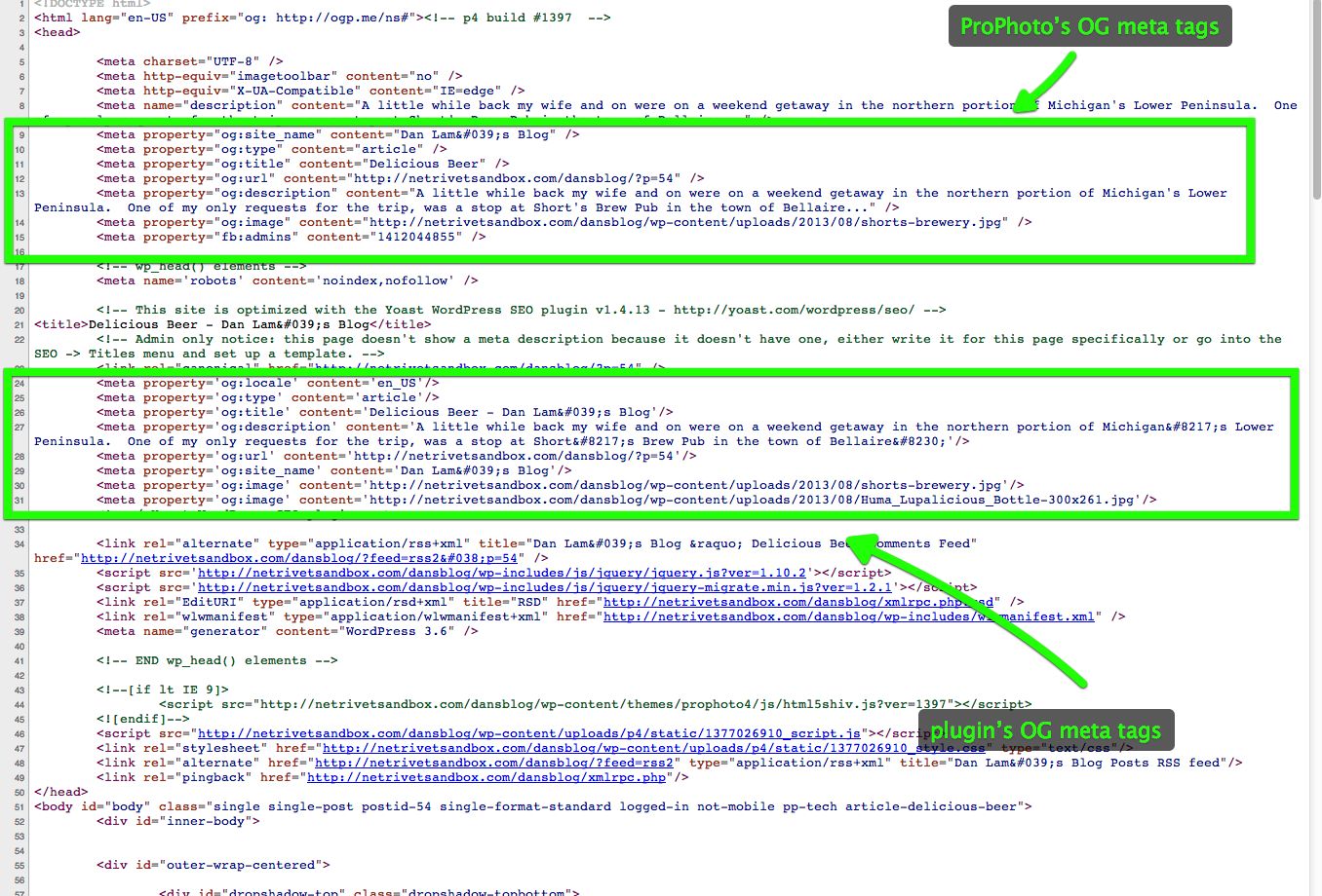 Source-code-duplicate-OG-meta-tags.png