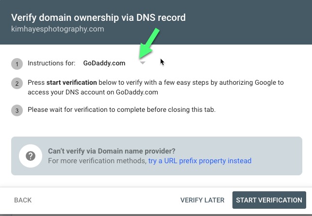 search_console_txt_verify_GoDaddy.jpg