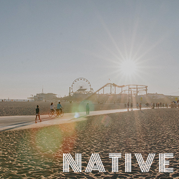 design_thumb_native.jpg